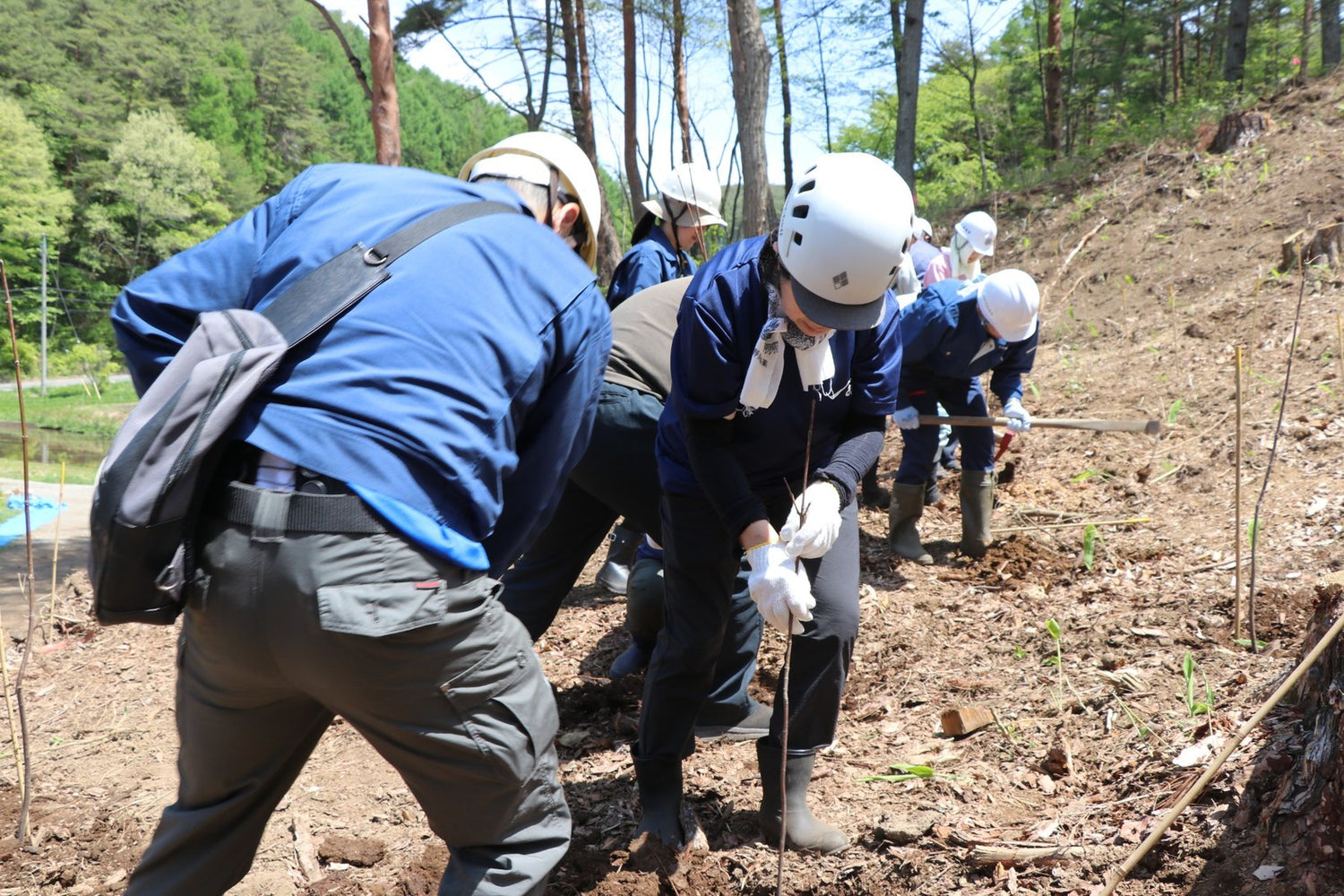 国産キハダ植樹活動を実施しました