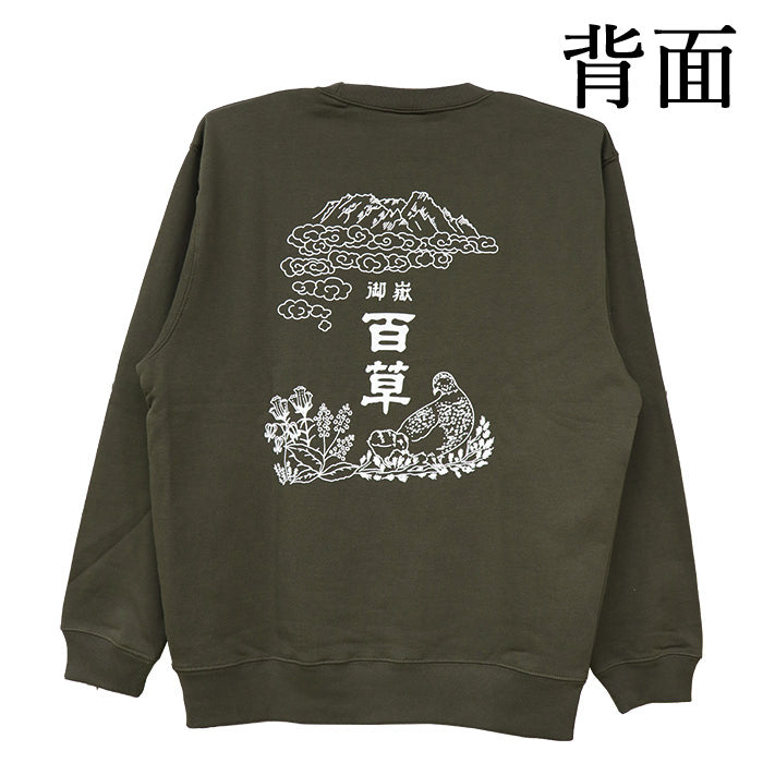 すっごくニガメトレーナー
